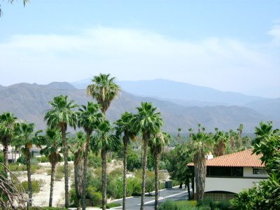 palm springs skyline